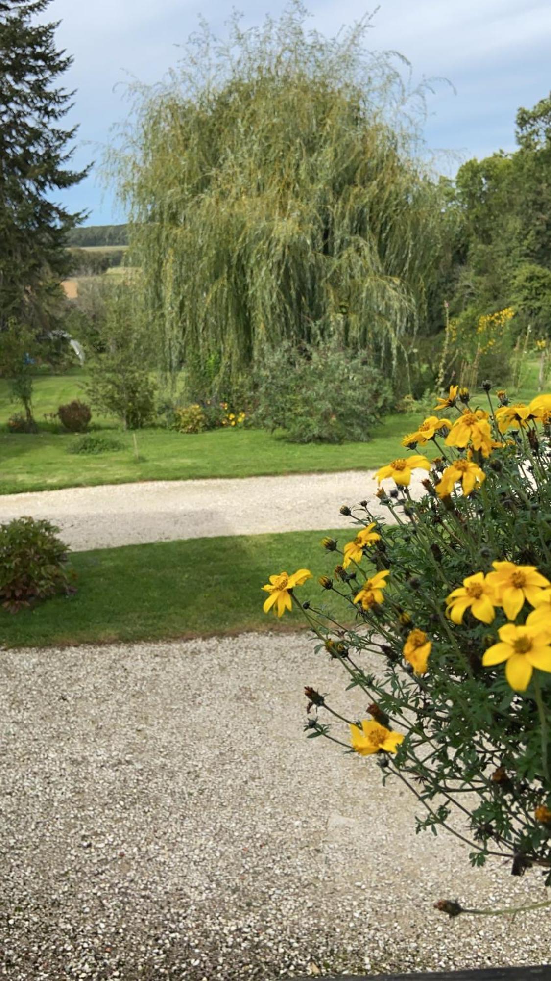 Pivoine Chambre D Hotes Fralignes Luaran gambar