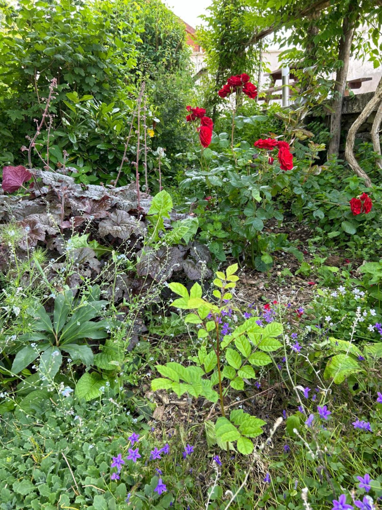 Pivoine Chambre D Hotes Fralignes Luaran gambar