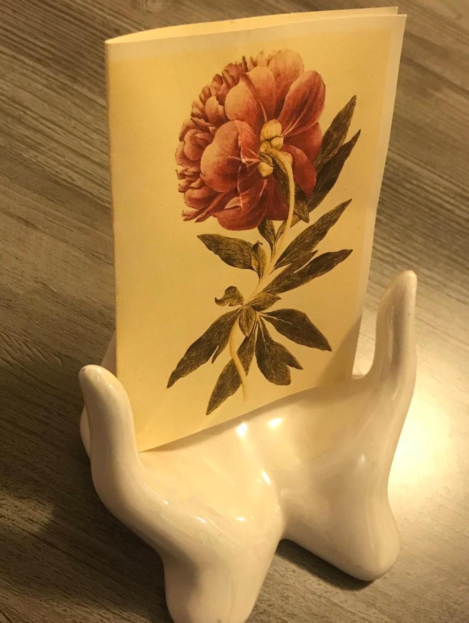 Pivoine Chambre D Hotes Fralignes Luaran gambar